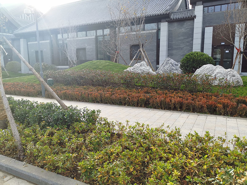 9b119776189e7c2c2886da71c9714f029e1778ca.jpg 9b119776189e7c2c2886da71c9714f029e1778ca.jpg